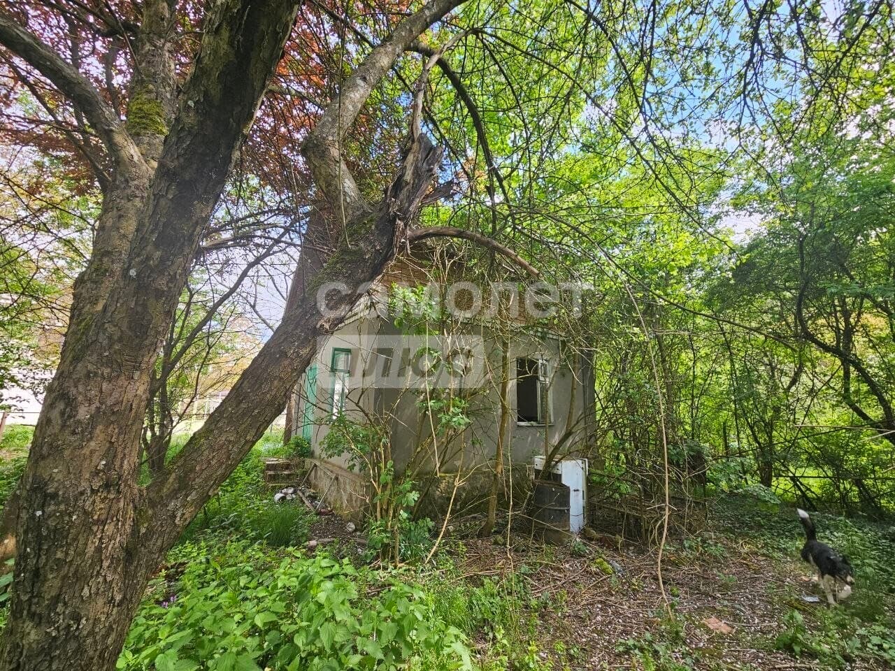 1-комн. квартира, 80 м² — миниатюра 3