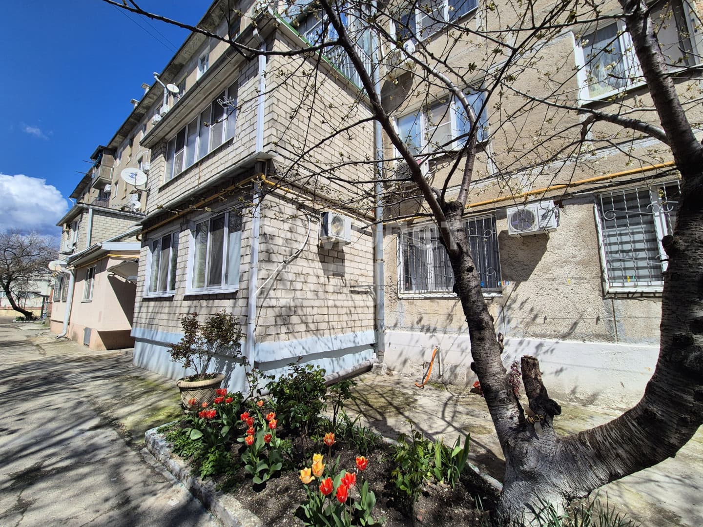Квартира у моря в центре — миниатюра 19