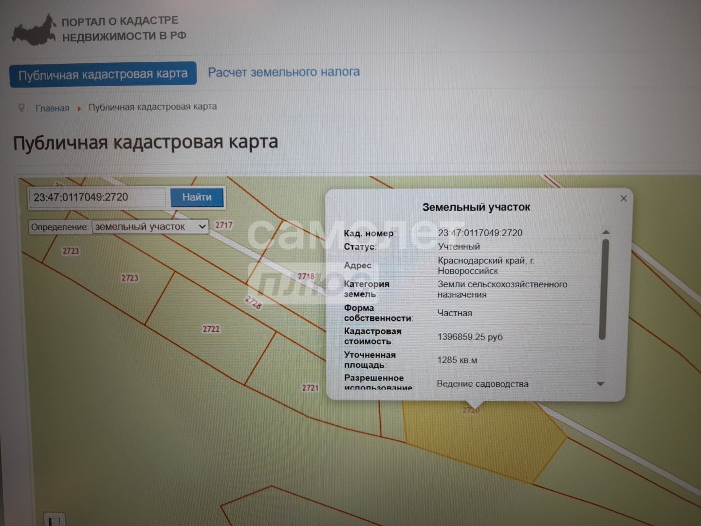 Участок в Васильевке — миниатюра 8