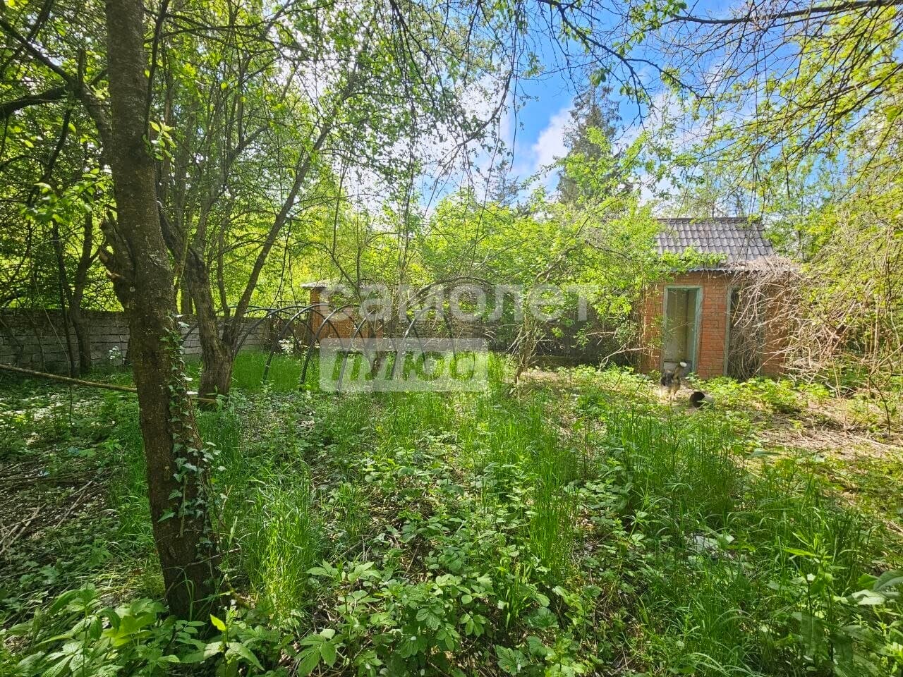 1-комн. квартира, 80 м² — миниатюра 4